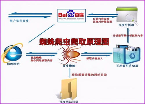 SEO快速排名外包服務(wù) 上海優(yōu)化公司與導(dǎo)游服務(wù)的跨界融合